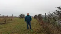 Desno od Kristjana Božiča je hitra cesta Koper-Izola, levo zadaj so 
njegove trte. 