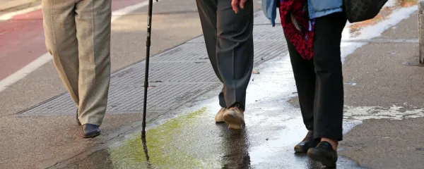 V pokojninski blagajni je množica neplačanih prispevkov. Koliko 
jih odpade na tiste, ki jih ne zmorejo plačevati, koliko na one, ki bi 
jih lahko, pa jih ne,   ne ve nihče.