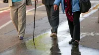 V pokojninski blagajni je množica neplačanih prispevkov. Koliko 
jih odpade na tiste, ki jih ne zmorejo plačevati, koliko na one, ki bi 
jih lahko, pa jih ne,   ne ve nihče.