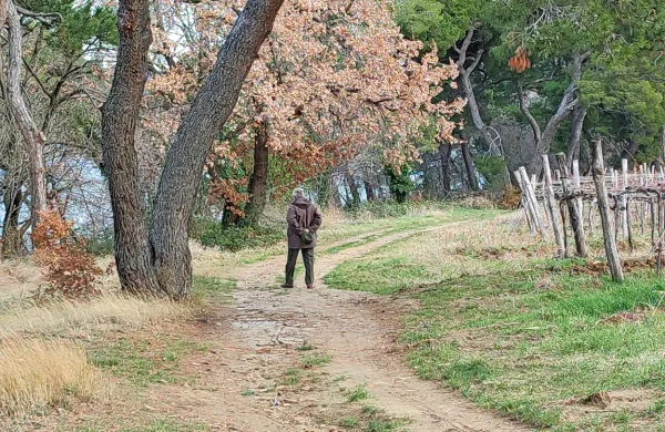Med sprehajalci je Krajinski park Debeli rtič priljubljen ne glede na 
letni čas. 