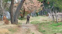Med sprehajalci je Krajinski park Debeli rtič priljubljen ne glede na 
letni čas. 