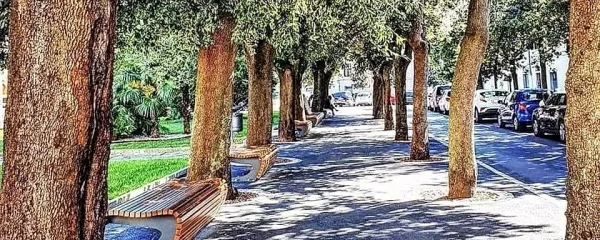 V senci dreves na Trgu Brolo  so Vanca in njene prijateljive 
posedale, opazovale, modrovale, skratka ćakulale.