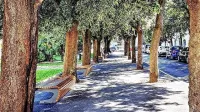 V senci dreves na Trgu Brolo  so Vanca in njene prijateljive 
posedale, opazovale, modrovale, skratka ćakulale.