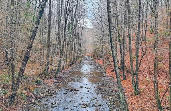 Potok Suhorca v spodnjem toku, tik pred izlitjem v Padež. Na njem 
bi zgradili pregrado, za katero bi nastalo akumulacijsko jezero.
