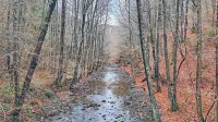 Potok Suhorca v spodnjem toku, tik pred izlitjem v Padež. Na njem 
bi zgradili pregrado, za katero bi nastalo akumulacijsko jezero.