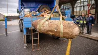 To bombo so pred dvema letoma odstranili iz nasipa ob železniški 
progi v Mariboru, enako bodo “reševali” pojutrišnjem. 