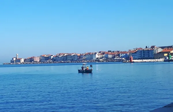 Dogovor med Slovenijo in Hrvaško o ribolovnem režimu bi v veliki 
meri spremenil dosedanjo prakso. 