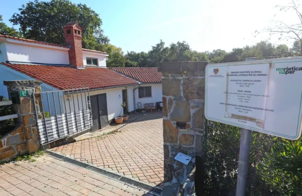 Marjetica Koper zaradi pritožbe  ni podpisala nove pogodbe, a do 
konca postopka ostaja začasni upravitelj zavetišča.