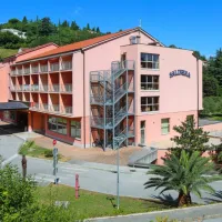  Sava ima v lasti približno dva tisoč hotelskih sob po vsej Sloveniji, upravlja tudi s Salinero. 