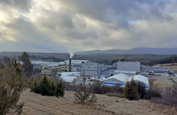 Naročila avtomobilske industrije so za Plamo pur pomembna, saj ji prinesejo približno polovico vseh prihodkov. 