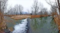 Kaskadne drče na pregradah bodo ribam omogočile lažje selitve 
po strugi Vipave.