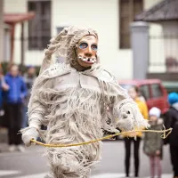 Skladno s tradicijo že vse letošnje nedelje po ulicah Cerknega tečejo laufarji, kot prvi “ta terjast”, ki mu je 
pozneje vsako nedeljo sledilo  več likov.
