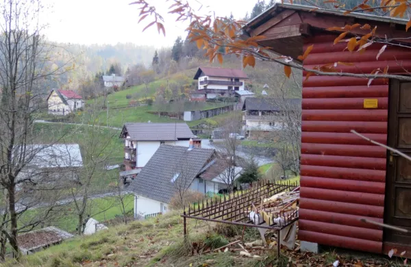 Prerazmnoženih medvedov na pohodih na idrijske čebelnjake 
minulo jesen nista zadržala ne trojna zaščita  ne naseljen predel 
mesta. 