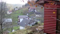 Prerazmnoženih medvedov na pohodih na idrijske čebelnjake 
minulo jesen nista zadržala ne trojna zaščita  ne naseljen predel 
mesta. 
