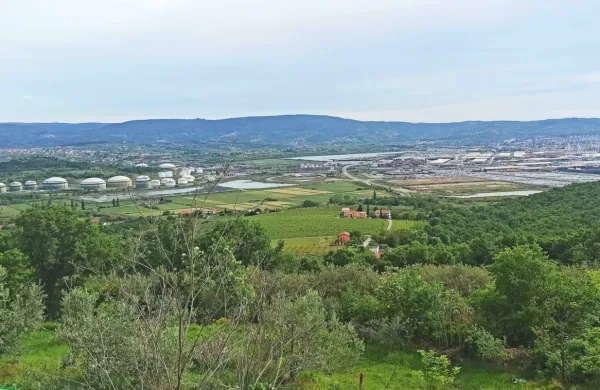 Najobsežnejše  širitve stavbnih zemljišč načrtujejo v Kopru  ter 
Bertokih s Pradami.