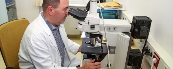 Po oceni prof. dr. Andreja Cöra, vodje raziskovalnega oddelka  v 
Ortopedski bolnišnici Valdoltra,  vodilni partnerici v čezmejnem 
projektu IMBI Interreg Italija-Slovenija, bodo izidi projekta, namenjenega  diagnostiki okužb sklepnih protez z inovativnimi 
metodami na osnovi bakteriofagov, dokazali    ključno vlogo fagov v 
tovrstnem  zdravljenju.        