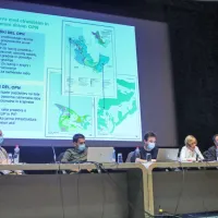 Razgreto o piranskem prostorskem načrtovanju: zeleno bi branili tudi z referendumom