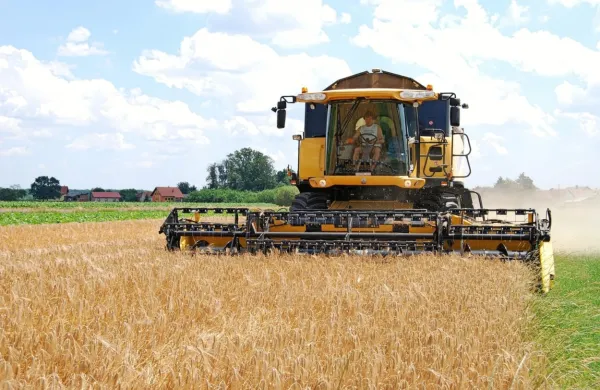 Ukrajina in Rusija sta eni večjih pridelovalk pšenice. Ob začetku 
vojne se je zato dvignila cena žit. 