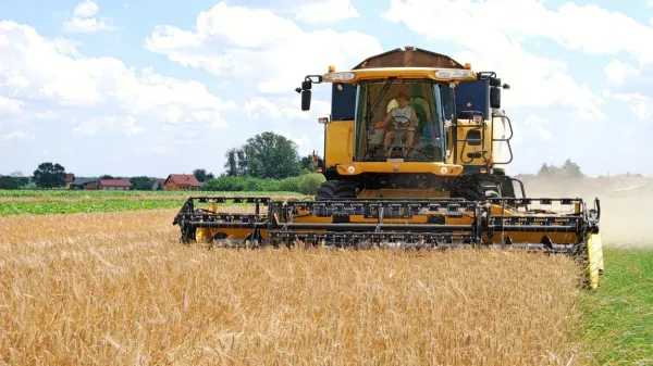 Ukrajina in Rusija sta eni večjih pridelovalk pšenice. Ob začetku 
vojne se je zato dvignila cena žit. 