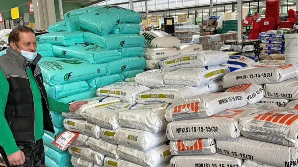 Oljkarji lahko v koprski KZ Agraria izbirajo med različnimi vrstami 
gnojil za svoje oljčnike.