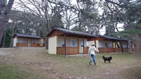 Begunce iz Ukrajine bodo namestili tudi v počitniških kapacitetah 
ministrstva za notranje zadeve na Debelem rtiču.