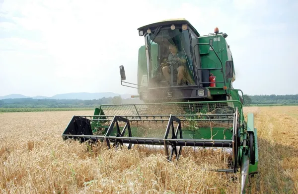 Dražji energenti, gnojila, krmila vplivajo na višje cene pridelave in 
predelave hrane in končne cele živilskih izdelkov.