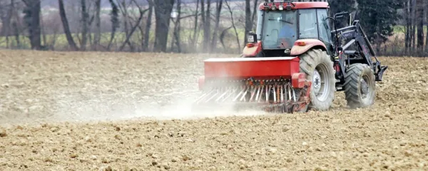 Zemlja je izsušena, “pravega” dežja ni bilo že od začetka zime.