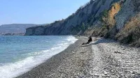 Sprehajalci  so  v soboto  dopoldne   na  območju Belih   skal   opazili  
neobičajno dogajanje.  