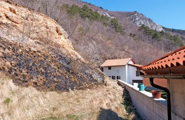 Ogenj je v nedeljo zvečer segel skoraj do hiš v vasi Col, ki pa so ga gasilci uspešno zadušili.