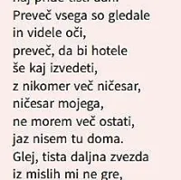 Poezija - tolažba, a tudi krik in obsodba