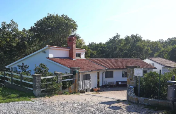 Za živali v zavetišču v Dvorih nad Sv. Antonom bo tudi prihodnjih 
pet let skrbela Marjetica Koper.