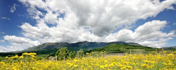 Pomlad na Vrtovinskem polju