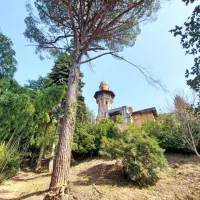 Zaradi ugodne klime tudi v parku ob vili Rafut raste marsikaj 
eksotičnega, žal pa je ta neurejen in čaka na boljše čase.