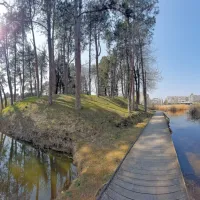 V Borovem gozdičku za goriško knjižnico in gledališčem je tudi 
bajer, kjer je mogoče opazovati različne živalske vrste.