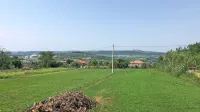 Izolan Alen Vuk trdi, da se namerava v prihodnosti na teh parcelah 
v Bertokih ukvarjati s hidroponsko pridelavo zelenjave. V osnutku 
občinskega prostorskega pa  so  ta zemljišča predvidena za stanovanjsko gradnjo.  