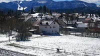 Nedeljsko sonce je sneg, ki je zgolj “pognojil” polja in travnike in 
nanje priklical nabiralce regrata, vidno topilo.