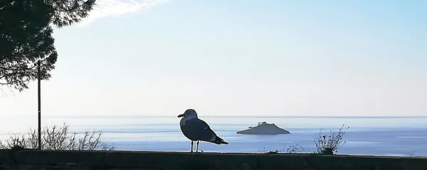 Imate občutek, da vas nekdo gleda, a ni nikjer nikogar … Morda vas občutek ne vara.
