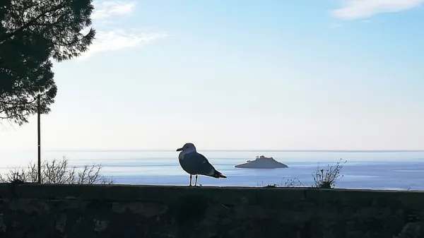Imate občutek, da vas nekdo gleda, a ni nikjer nikogar … Morda vas občutek ne vara.