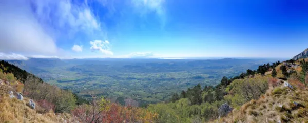 Do koder seže pogled ...