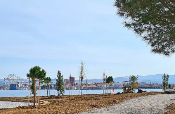Na nasipu v Žusterni bodo  zasadili približno 200 različnih dreves 
ter številne grmovnice in trajnice.