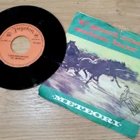 Gramofonska plošča zasedbe Meteori s pesmijo U gori rase zelen 
bor

