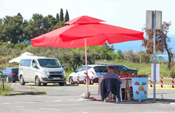 Preprodajalcev sadja, ki običajno prodajajo brez soglasja lastnika 
zemljišča, torej občine ali države, nihče ne preganja. 