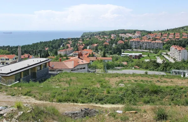 Gradnja ankaranskega pokopališča se bo zamaknila, saj mora 
občina objaviti nov razpis. 