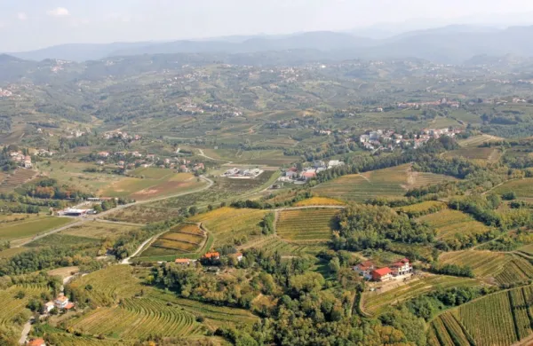 Na pobočju med Fojano in Medano (na desni strani fotografije) naj 
bi zrasel turistični kompleks višje kategorije.