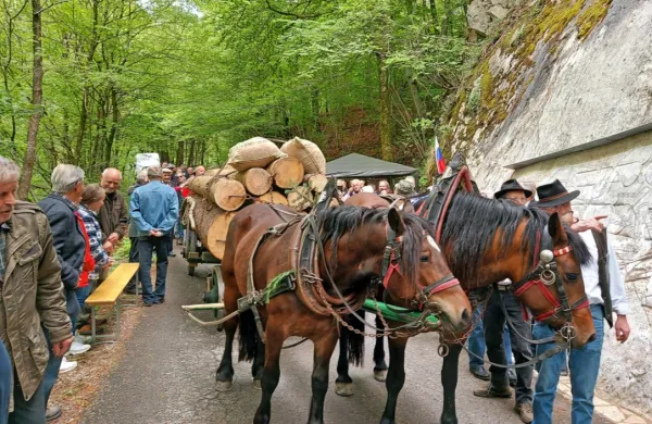 Člani Konjeniškega društva Sveti Štefan Vipavska dolina so 
poskrbeli za pristen prikaz furmanstva. 