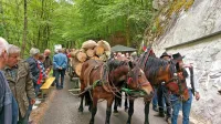 Člani Konjeniškega društva Sveti Štefan Vipavska dolina so 
poskrbeli za pristen prikaz furmanstva. 