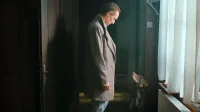 V glavni vlogi spremljamo Črta (Marko Mandić), ki se po dolgih 35 
letih vrne v kraj njegovega otroštva Trigrad, da bi čim hitreje 
prodal očetovo zapuščino, a zadeve se zapletejo.