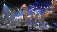 Boštjan Gombač, redni sodelavec in gost festivala, bo v soboto s 
koncertom nagradil udeležence uvodnega “jazzohoda”.
