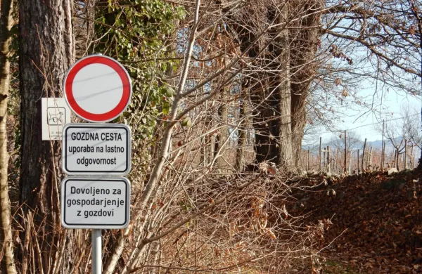 Višina katastrskega dohodka od gozdnih zemljišč je osnova za 
izračun pristojbine za vzdrževanje gozdnih cest.
