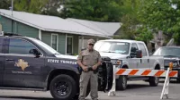 Strelec je najprej ustrelil svojo babico, nato pa se je okoli poldneva 
odpravil do osnovne šole Robb, kjer je zapustil svoje vozilo in 
vstopil s pištolo in puško, oblečen v neprebojni jopič, ter začel 
strelski pohod po učilnicah.